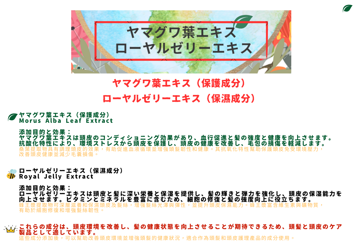 頭等艙洗髮精【First Class Shampoo】御呼吸シャンプー TOP 1