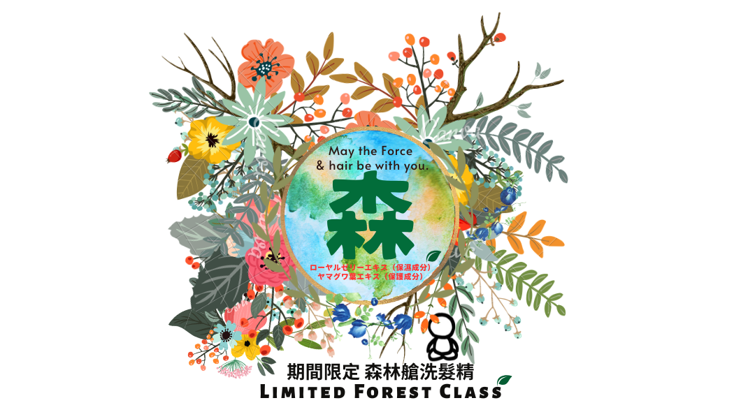 《東京0101百貨限定回饋》《買3贈1 》期間限定 森林艙洗髮精【Limited Forest Class Shampoo】御呼吸シャンプー 450ml x4